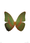 The Souls III (Leaf, Green, Rustic Copper), 2010 RM 13,000.00-SOLD | Foil - Block print in colours | 73x 52 cm