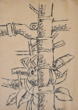 35