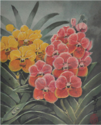 1-Venda Orchids, Undated RM 4,950.00-SOLD | Watercolour on paper | 35 x 25.5 cm
