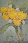 3-Yellow Beauty, Undated RM 4,950.00-SOLD | Watercolour on paper | 40 x 26 cm