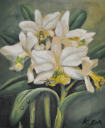 4-RM 6,050.00-SOLD Khaw Sia "Orchids" Watercolour on paper (undated) 27cm x 23cm