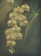 5-Orchids, Undated RM 3,850.00-SOLD | Watercolour on paper | 34 x 25 cm