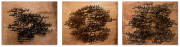 LOT 42
