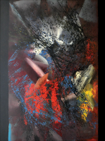 61-RSA Home of the pigeons, 2013