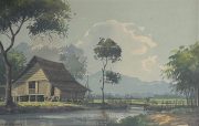 LOT 61