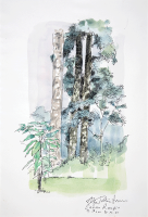63-Ong-kim-seng-ii