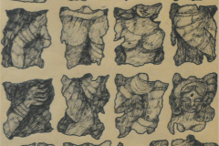 57