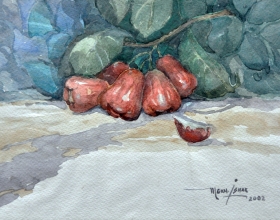 33-Mokhtar Ishak. Jambu Air (2002) 25 cmx 17.5cm watercolour on paper