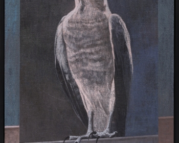 LOT 27