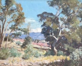 LOT 34