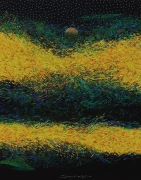41