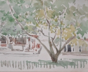 LOT 16
