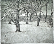 LOT 31