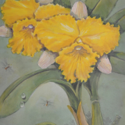 3-Yellow Beauty, Undated RM 4,950.00-SOLD | Watercolour on paper | 40 x 26 cm