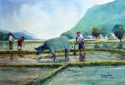 46-Mokhtar Ishak. Sowing (2011) 30.5cm x 44cm Watercolour on Paper