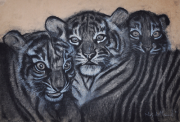 8-RM 3,920.00-SOLD Najib Ahmad "Siblings" 2012 Charcoal on paper, 53 x 78.5 cm