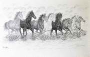 21-SOLD rm 1,792 Runaway Horses Series 2, 2012 AVAILABLE | Acrylic and black ink on acid free canvas | 60 x 90 cm copy