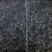 12-Siri Pohon Beringin-Daerah RM 2,464.00-SOLD| Acrylic on canvas| 100 x 100 cm