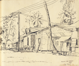 15-Pen & Ink on Paper | 20.2cm x 24.5cm