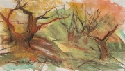 LOT 13