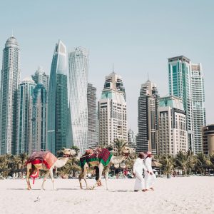 fredrik-ohlander-fCW1hWq2nq0-unsplash
